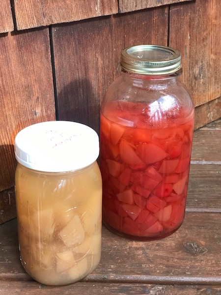 how-to-make-shrub-syrup
